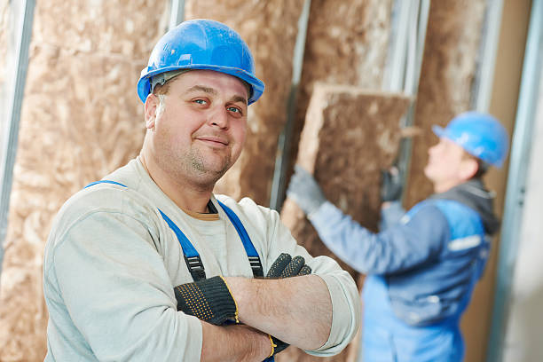 Best Insulation Maintenance and Repair in Lake Mary Jane, FL