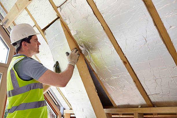 Best Cellulose Insulation in Lake Mary Jane, FL